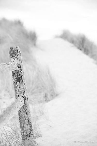 WEATHERED FENCE FIRST ENCOUNTER BEACH EASTHAM CAPE COD MASSACHUSETTS BLACK AND WHITE VERTICAL - Limited Edition of 100 thumb