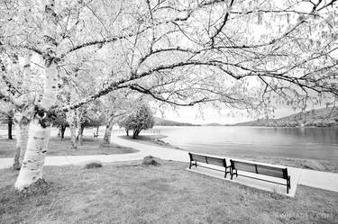 LAKE GEORGE ADIRONDACK MOUNTAINS BLACK AND WHITE - Limited Edition of 100 thumb