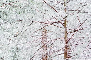 WINTER TOCCATA NATURE ABSTRACT SMOKY MOUNTAINS NORTH CAROLINA - Limited Edition of 100 thumb