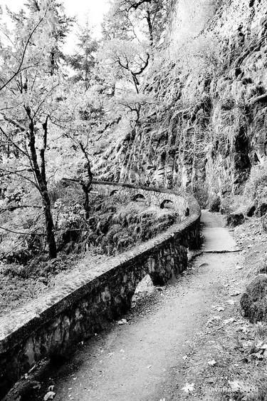SHEPPERD'S DELL FALLS TRAIL NEAR HISTORIC COLUMBIA RIVER HIGHWAY OREGON BLACK AND WHITE - Limited Edition of 100 thumb