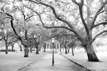 WHITE POINT GARDEN CHARLESTON SOUTH CAROLINA BLACK AND WHITE - Limited Edition of 125 thumb
