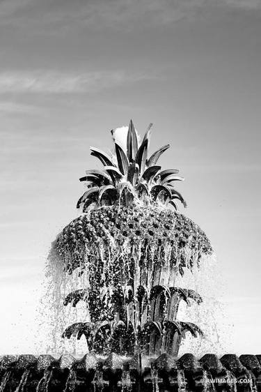 PINEAPLLE FOUNTAIN WATERFRONT PARK CHARLESTON SOUTH CAROLINA BLACK AND WHITE - Limited Edition of 125 thumb