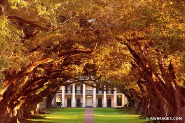 OAK ALLEY PLANTATION VACHERIE LOUISIANA COLOR SUNSET - Limited Edition of 125 thumb