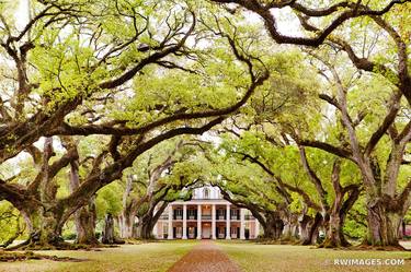 OAK ALLEY PLANTATION VACHERIE LOUISIANA COLOR - Limited Edition of 125 thumb