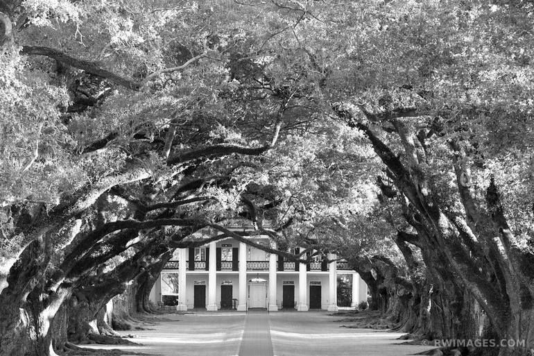 OAK ALLEY PLANTATION NEAR NEW ORLEANS LOUISIANA BLACK AND WHITE PHOTOGRAPHY  - Limited Edition 1 of 100 Photography by Robert Wojtowicz