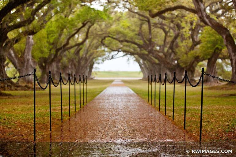 OAK ALLEY PLANTATION NEAR NEW ORLEANS LOUISIANA BLACK AND WHITE PHOTOGRAPHY  - Limited Edition 1 of 100 Photography by Robert Wojtowicz