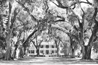 ROSEDOWN PLANTATION AND GARDENS ST. FRANCISVILLE LOUISIANA BLACK AND WHITE - Limited Edition of 125 thumb
