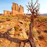 Collection ARCHES UTAH