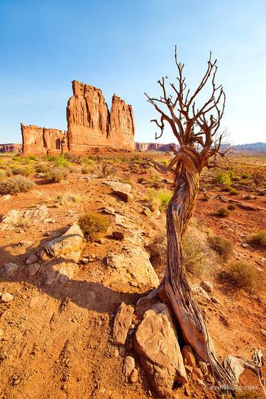 THE ORGAN COURTHOUSE TOWERS ARCHES NATIONAL PARK UTAH COLOR VERTICAL - Limited Edition of 125 thumb