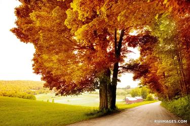 COUNTRY ROAD VERMONT FALL COLOR NEW ENGLAND AUTUMN COLORS LANDSCAPE - Limited Edition of 125 thumb