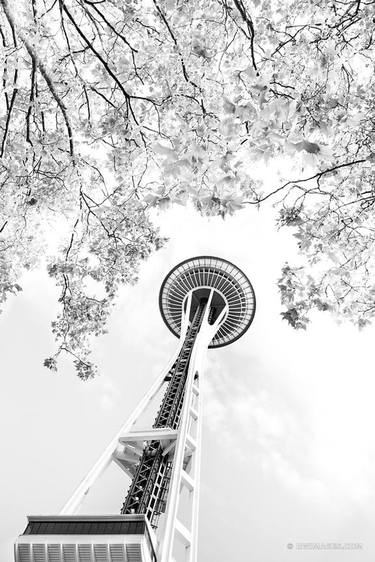 SPACE NEEDLE SEATTLE BLACK AND WHITE VERTICAL - Limited Edition of 100 thumb