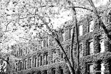 OCCIDENTAL PARK SEATTLE HISTORIC DISTRICT BLACK AND WHITE - Limited Edition of 125 thumb