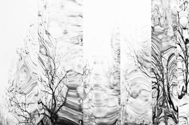 SEATTLE MUSEUM OF POP CULTURE METAL WALL WINTER TREES REFLECTIONS ABSTRACT ART BLACK AND WHITE - Limited Edition of 125 thumb