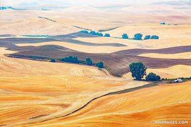 STEPTOE BUTTE STATE PARK PALOUSE REGION EASTERN WASHINGTON STATE LANDSCAPE - Limited Edition of 125 thumb