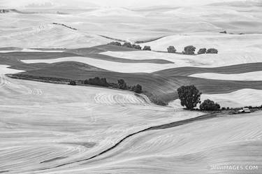 STEPTOE BUTTE STATE PARK PALOUSE WASHINGTON BLACK AND WHITE LANDSCAPE - Limited Edition of 125 thumb