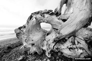 DRIFTWOOD RIALTO BEACH OLYMPIC NATIONAL PARK WASHINGTON BLACK AND WHITE - Limited Edition of 125 thumb