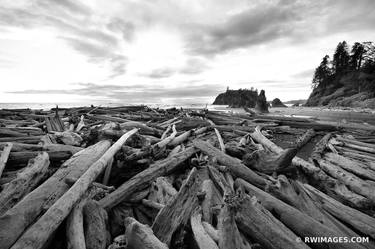 RUBY BEACH OLYMPIC NATIONAL PARK WASHINGTON PACIFIC NORTHWEST COAST BLACK AND WHITE - Limited Edition of 125 thumb