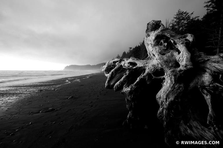 Winter On The Elwha River, Olympic National Park,, 40% OFF