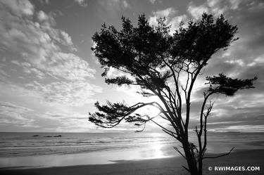 KALALOCH BEACH SUNSET OLYMPIC NATIONAL PARK WASHINGTON PACIFIC NORTHWEST COAST BLACK AND WHITE - Limited Edition of 125 thumb