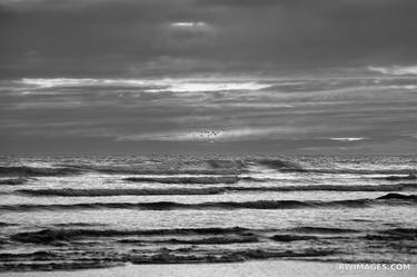 RUBY BEACH OLYMPIC NATIONAL PARK WASHINGTON PACIFIC NORTHWEST COAST BLACK AND WHITE - Limited Edition of 125 thumb