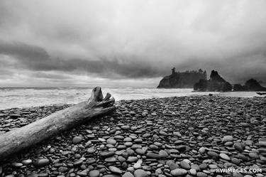 DRIFTWOOD RUBY BEACH OLYMPIC NATIONAL PARK WASHINGTON STATE PACIFIC NORTHWEST LANDSCAPE BLACK AND WHITE - Limited Edition of 125 thumb
