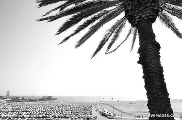 PALM TREE BEACH SANTA MONICA CALIFORNIA BLACK AND WHITE - Limited Edition of 125 thumb