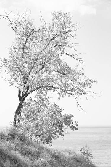 WEST BEACH INDIANA DUNES NATIONAL PARK INDIANA MIDWEST LANDSCAPE NATURE PHOTOGRAPHY BLACK AND WHITE VERTICAL - Limited Edition of 100 thumb