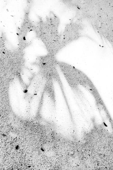 PALM TREE SHADOW ON THE GROUND MIAMI FLORIDA BLACK AND WHITE VERTICAL ABSTRACT - Limited Edition of 100 thumb