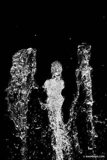 WATER GHOSTS NATURE ABSTRACT BLACK AND WHITE VERTICAL - Limited Edition of 100 thumb