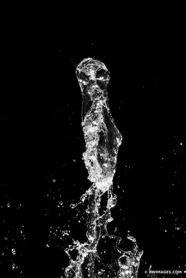WATER GHOSTS NATURE ABSTRACT BLACK AND WHITE VERTICAL - Limited Edition of 100 thumb