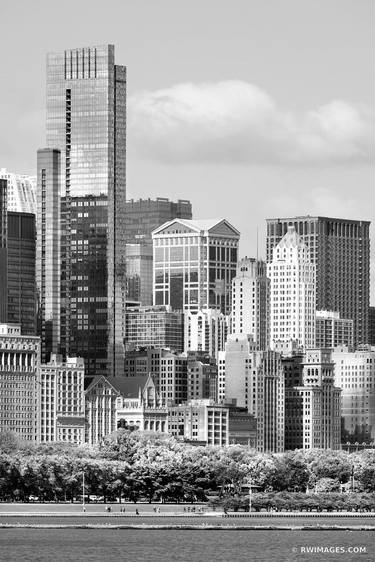 CHICAGO DOWNTOWN HIGHRISE BUILDINGS BLACK AND WHITE CHICAGO ILLINOIS CITYSCAPE VERTICAL - Limited Edition of 100 thumb