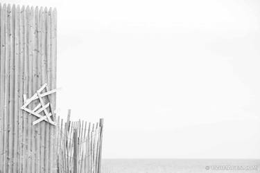 BEACH FENCE LONG ISLAND BLACK AND WHITE thumb