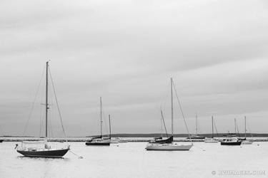 SAILBOATS SAG HARBOR LONG ISLAND NY EVENING BLACK AND WHITE thumb