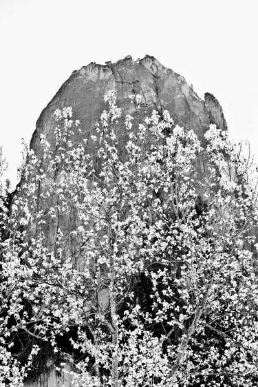 YOSEMITE NATIONAL PARK BLACK AND WHITE VERTICAL thumb