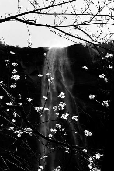 BRIDALVEIL FALL YOSEMITE NATIONAL PARK BLACK AND WHITE thumb