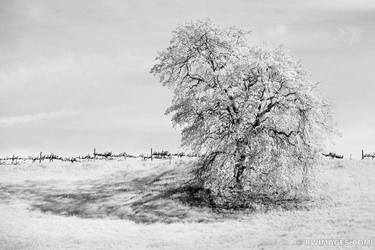 Original Landscape Photography by Robert Wojtowicz