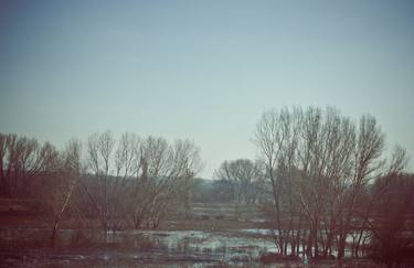 Forest and lake thumb