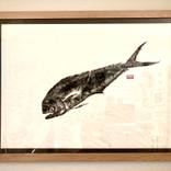 Gyotaku:  Dorado - Limited Edition of 1 by Jeffrey Lazar