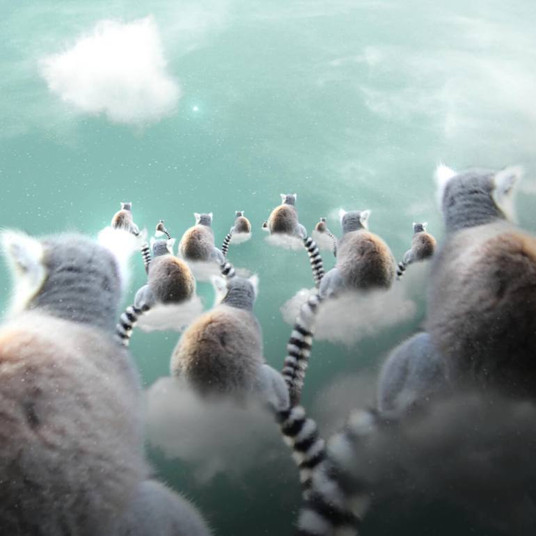 View in a Room Artwork