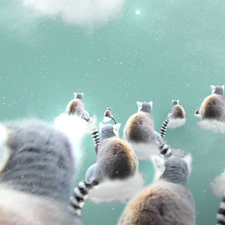 Original Surrealism Animal Digital by Vanessa Stefanova