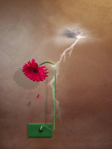 Original Surrealism Floral Mixed Media by Vanessa Stefanova