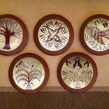 Exquisitely Hand painted set of 5 Kutahya(Turkish) Wall Plates