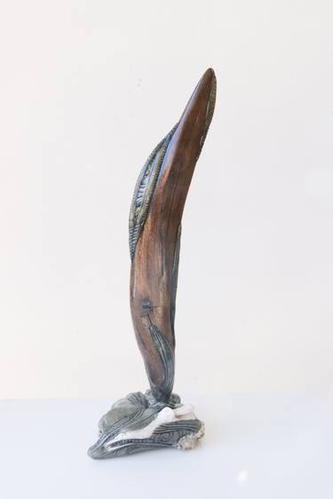 Driftwood 'boomerang' thumb