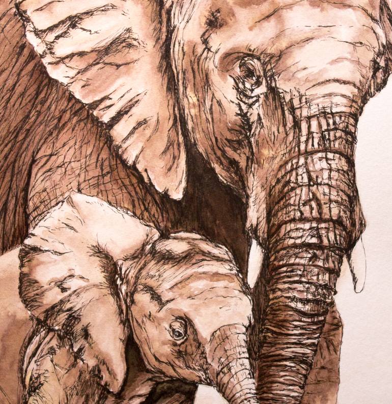 Original Fine Art Animal Drawing by Anne Connell