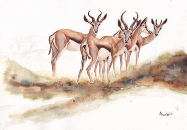 Original Fine Art Animal Paintings by Anne Connell