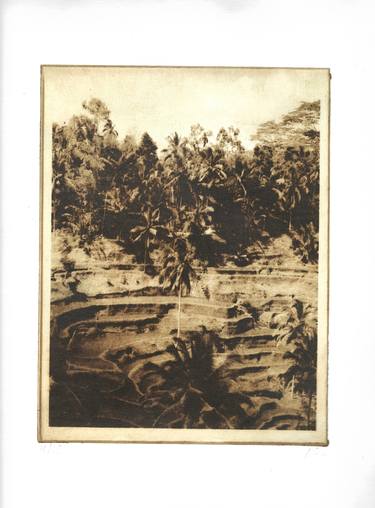 Print of Tree Printmaking by Filipp Luzin