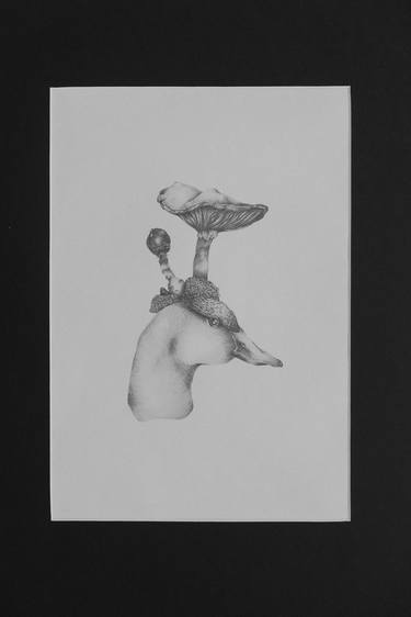 Original Surrealism Nature Drawings by Maria Rusinkevich