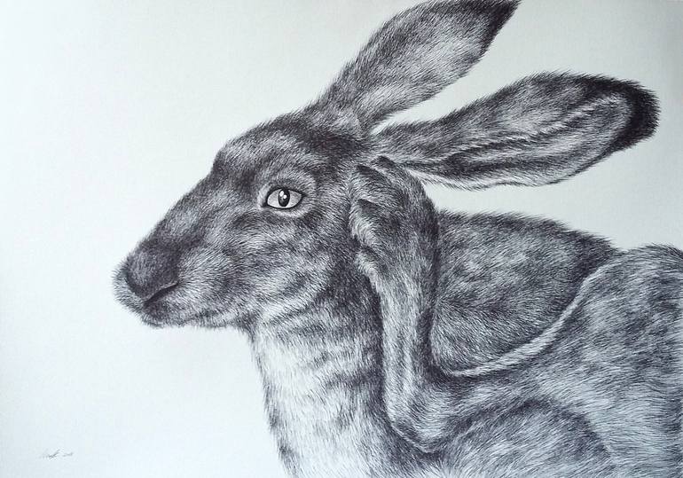 Hare Drawing by Karolina Alejuniene | Saatchi Art