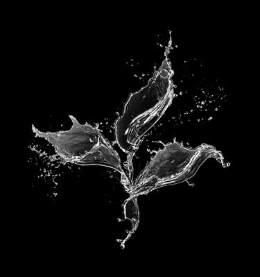 Print of Water Photography by Victoria Schaal