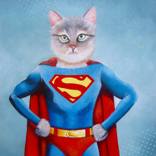 SUPERCAT by cristina borobia